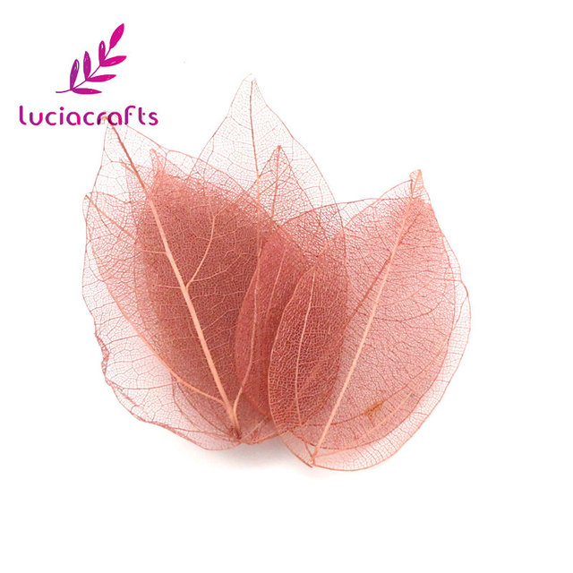 36 sztuk wielobarwnych naturalnych suchych liści do scrapbookingu Lucia Crafts - C0704 - Wianko - 16