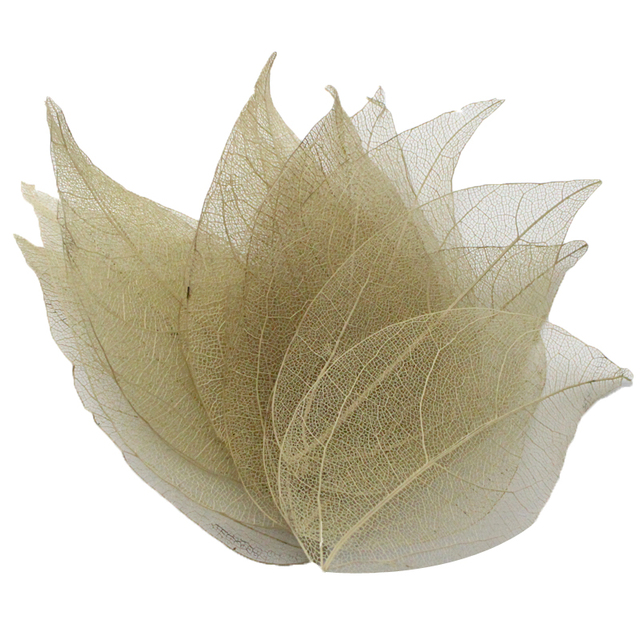 36 sztuk wielobarwnych naturalnych suchych liści do scrapbookingu Lucia Crafts - C0704 - Wianko - 9
