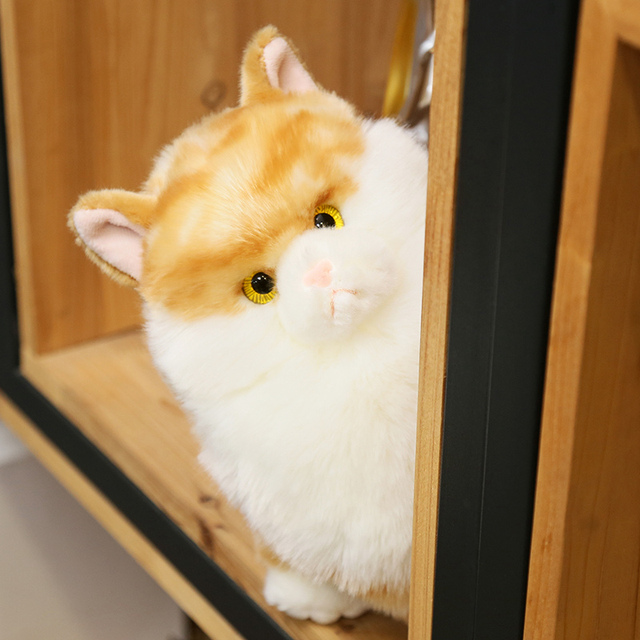 Pluszowy kot Aurora Ragdoll, 25cm, biało-pomarańczowy, miękka lalka dla dziecka i dziewczyny - Wianko - 16