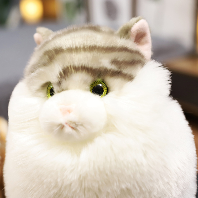 Pluszowy kot Aurora Ragdoll, 25cm, biało-pomarańczowy, miękka lalka dla dziecka i dziewczyny - Wianko - 9