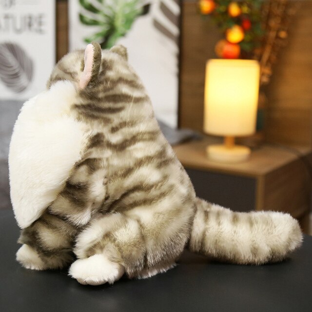 Pluszowy kot Aurora Ragdoll, 25cm, biało-pomarańczowy, miękka lalka dla dziecka i dziewczyny - Wianko - 12