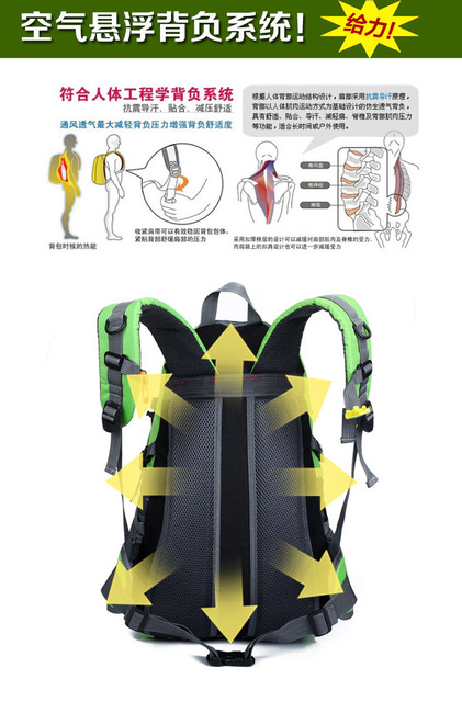 Campingowy plecak wodoodporny trekkingowy 40L dla mężczyzn i kobiet - Wianko - 4