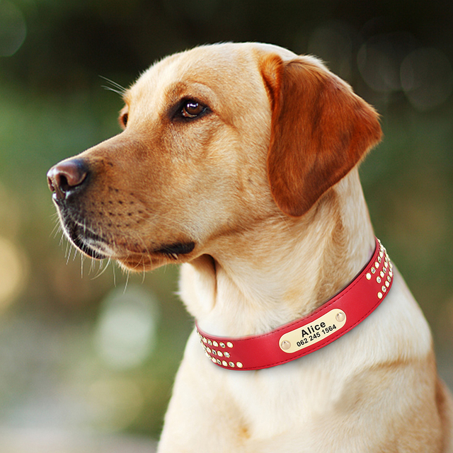 Skórzana spersonalizowana obroża dla psa Rhinestone z grawerowanym ID Tagiem - Wianko - 20