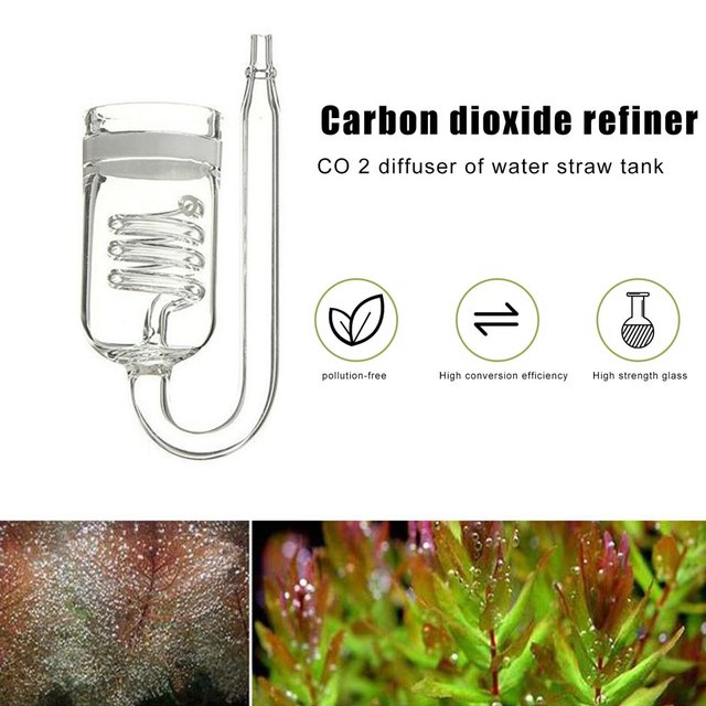 Najnowszy dyfuzor CO2 do szklanych akwariów - elektromagnetyczny Regulator Moss CO2 Atomizer dla roślin wodnych - przezroczysty zbiornik - Wianko - 1