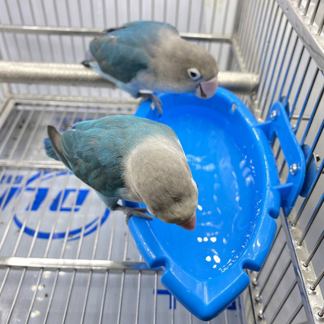 Kąpiel dla małych ptaków - wanienka wodna i karmnik w jednym - dla papug i innych rodzajów ptaków - Wianko - 3