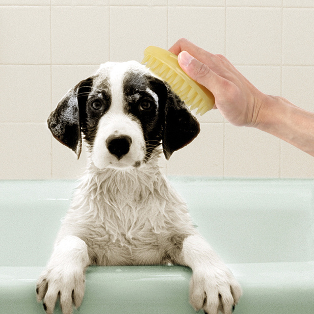 Miękka szczotka do czyszczenia dla psa i kota- narzędzie masujące i delikatnie myjące z silikonowymi włosiami - Wianko - 11