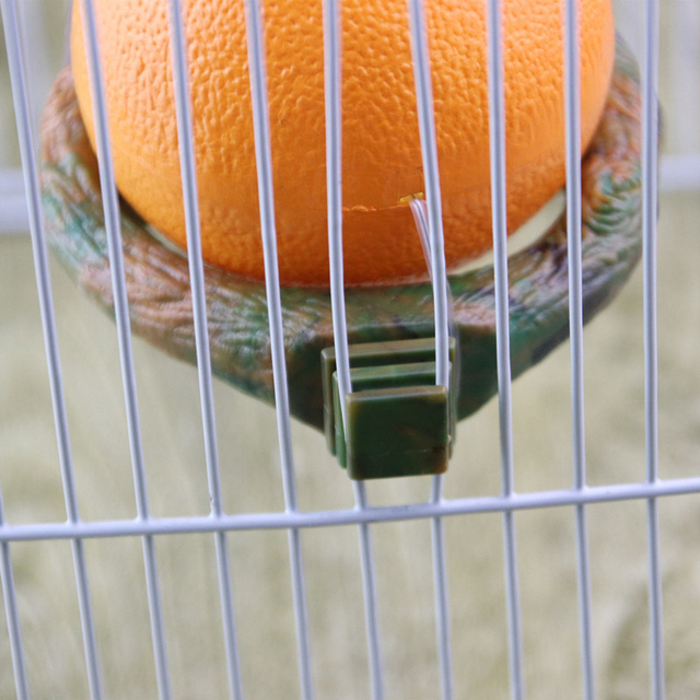 Dozownik pokarmu dla papug w kształcie śmiesznych owoców - pomarańczowy granat - Wianko - 12
