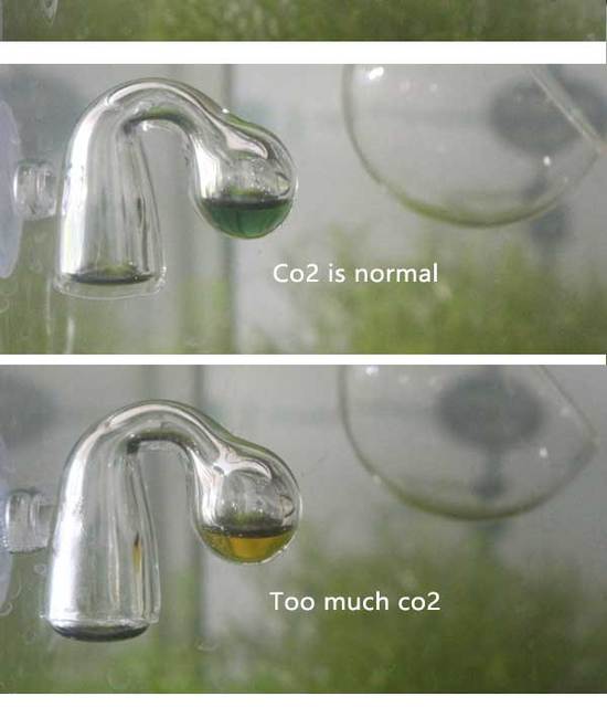 Monitor CO2 dla roślin - test cieczy pH i wskaźnik długoterminowy do akwarium Fish Tank ADA - Wianko - 4