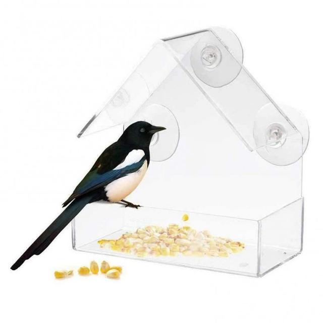 Akrylowy przezroczysty podajnik ptaków z przyssawką na Birdhouse - narzędzie do karmienia ptaków ptaki accessoires - Wianko - 1