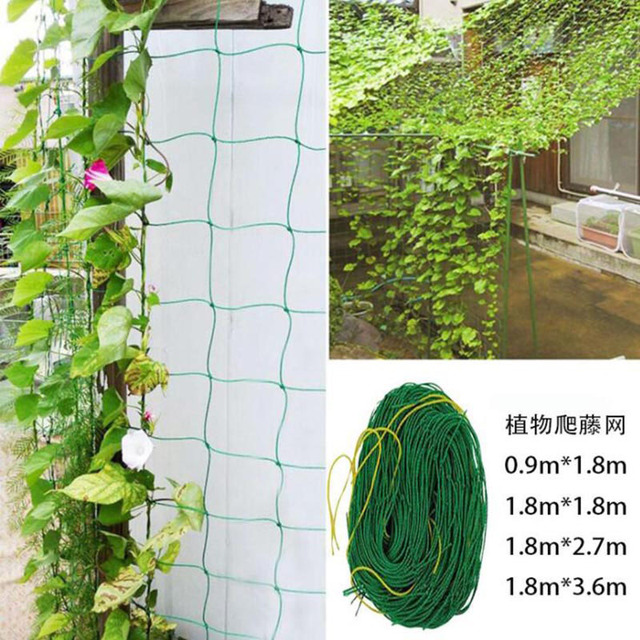 Zielona nylonowa siatka ogrodowa 10x10cm do wsparcia wzrostu roślin, wspinaczki fasoli i zagęszczenia ogrodzenia - Wianko - 3