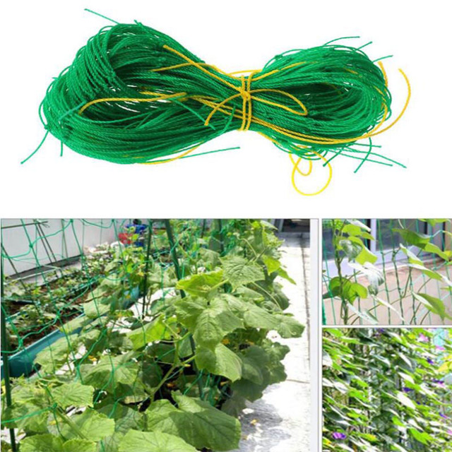 Zielona nylonowa siatka ogrodowa 10x10cm do wsparcia wzrostu roślin, wspinaczki fasoli i zagęszczenia ogrodzenia - Wianko - 1