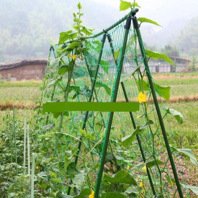 Zielona nylonowa siatka ogrodowa 10x10cm do wsparcia wzrostu roślin, wspinaczki fasoli i zagęszczenia ogrodzenia - Wianko - 5