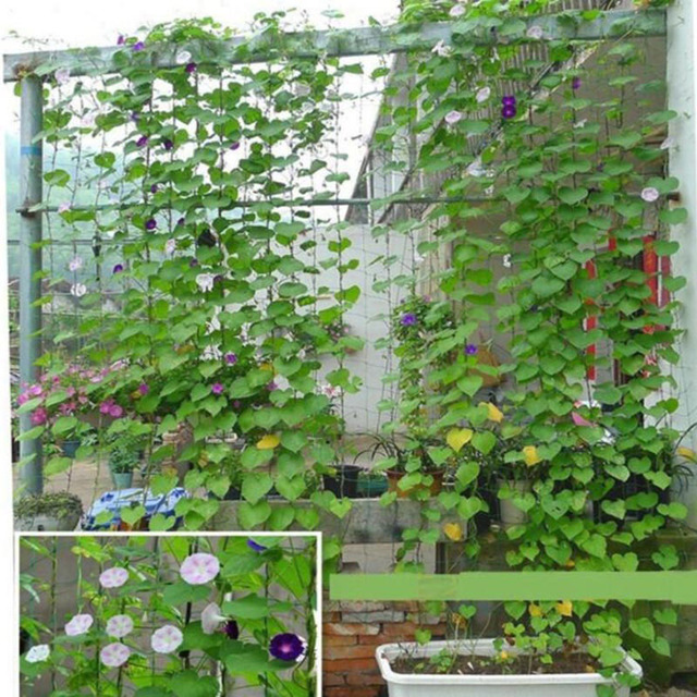 Zielona nylonowa siatka ogrodowa 10x10cm do wsparcia wzrostu roślin, wspinaczki fasoli i zagęszczenia ogrodzenia - Wianko - 4