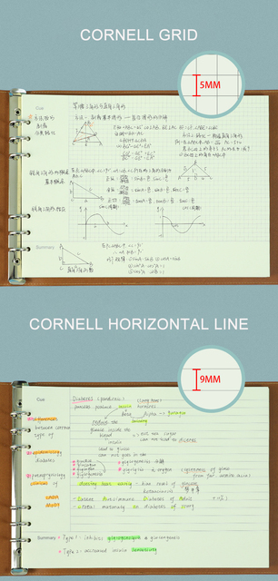 Notatnik A4 z mapą umysłu, B5 luźny z motywem liścia Cornell, siatka pozioma/kwadratowa - Wianko - 6