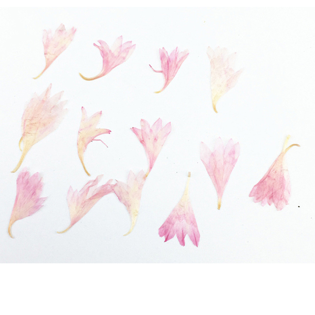 200 sztuk małych kompozycji kwiatowych z chabrami bławatnymi w stylu vintage - dekoracje ślubne - Wianko - 1