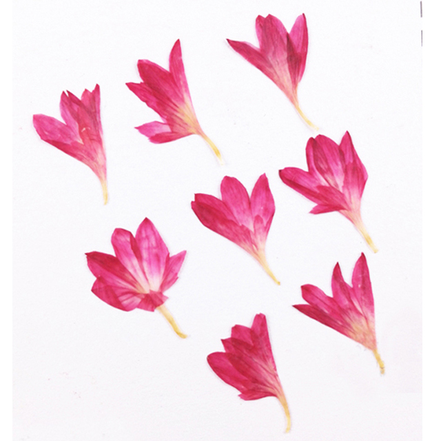 200 sztuk małych kompozycji kwiatowych z chabrami bławatnymi w stylu vintage - dekoracje ślubne - Wianko - 2