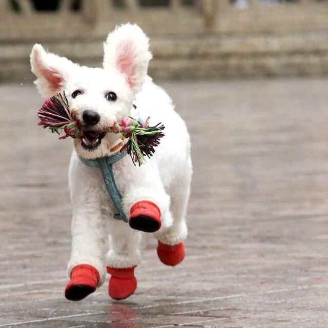 Super ciepłe buty dla psa zima, 4 sztuki, obuwie na deszcz i śnieg, dla małych piesków i kotów - Wianko - 4