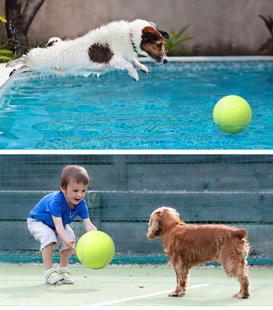Zabawka interaktywna dla psa - gigantyczna piłka tenisowa 24CM - Wianko - 5