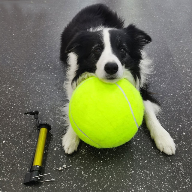 Zabawka interaktywna dla psa - gigantyczna piłka tenisowa 24CM - Wianko - 3