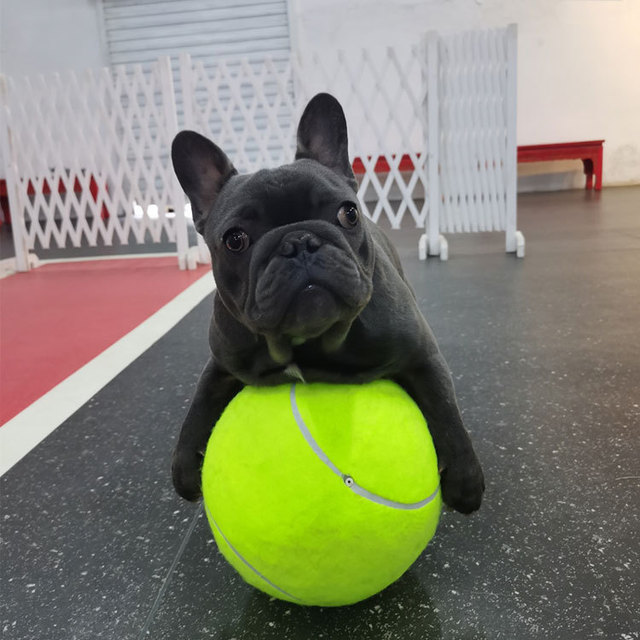 Zabawka interaktywna dla psa - gigantyczna piłka tenisowa 24CM - Wianko - 4