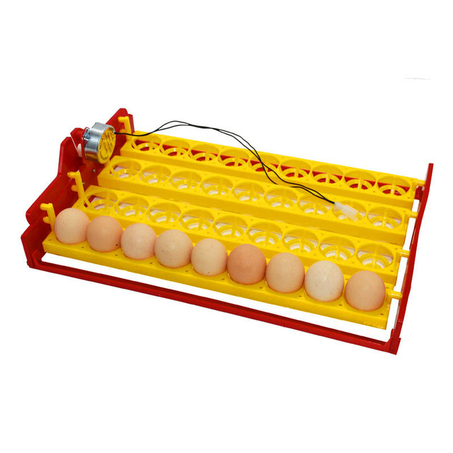 Inkubator automatyczny do ptasich jaj - 36 sztuk jaja przepiórki, kaczki, gęsi, gołębi - Wianko - 4
