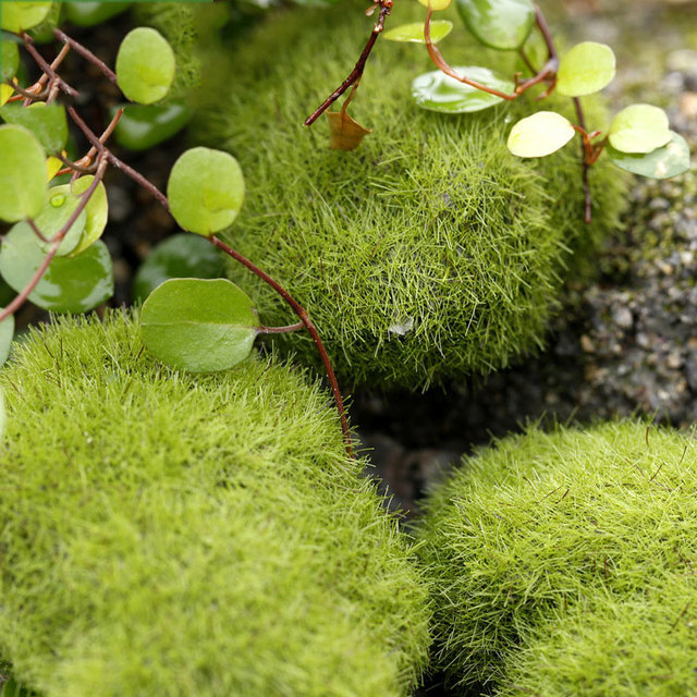 Figurka dekoracyjna z miniaturową, sztuczną murawą Micro Green Moss Stone do ozdoby wnętrz i ogrodu - Wianko - 2