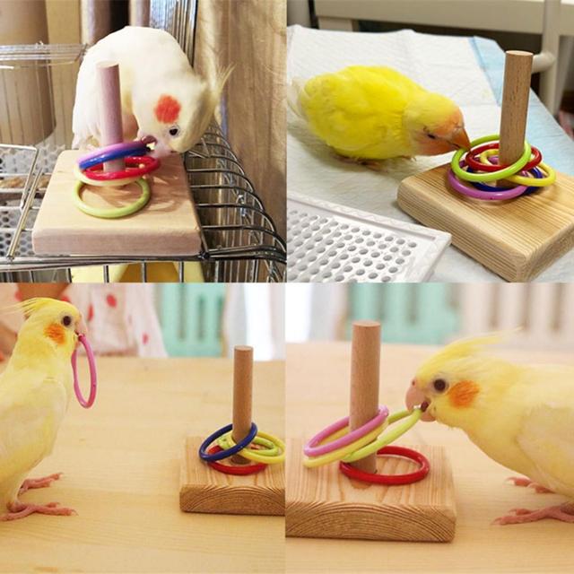 Tabletop - Zabawka dla ptaków - Ptak sztuczka - Zabawa i edukacja na placu zabaw - Wianko - 10