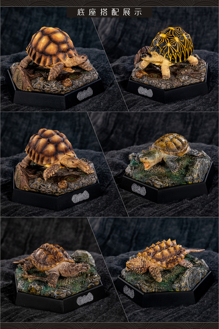 Figurka akcji mini żółw - prehistoryczna symulacja, 10 cm, kolekcja zwierząt - Wianko - 14