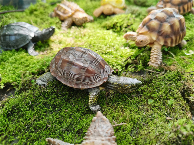 Figurka akcji mini żółw - prehistoryczna symulacja, 10 cm, kolekcja zwierząt - Wianko - 19