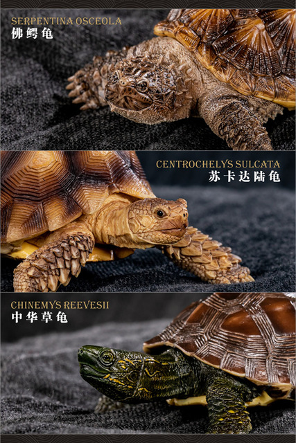 Figurka akcji mini żółw - prehistoryczna symulacja, 10 cm, kolekcja zwierząt - Wianko - 15