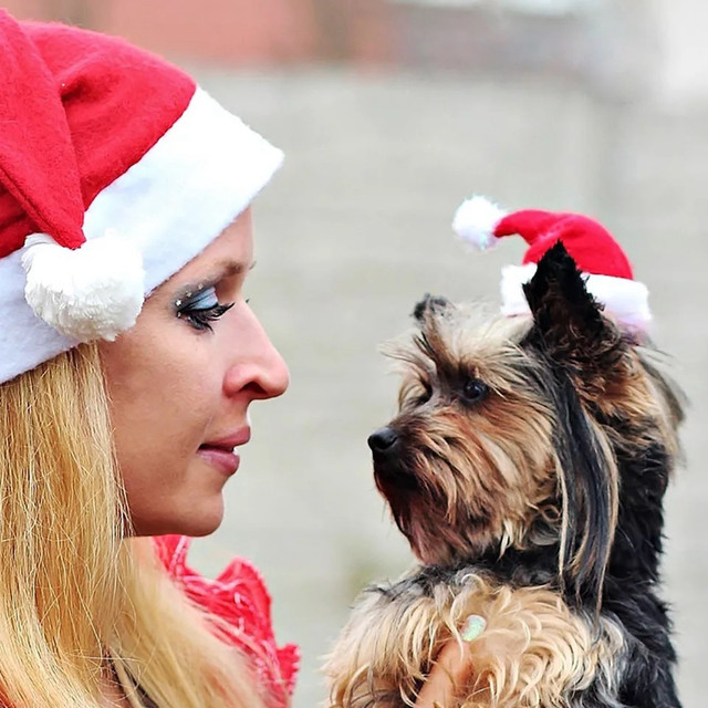 Kapelusz Bożonarodzeniowy z kapturem dla kotów, psy i szczeniąt - dekoracja świąteczna 2020 - Wianko - 5