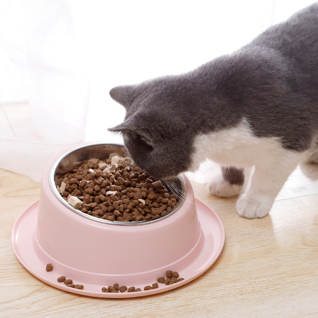 Miska do karmienia zwierząt domowych ze stali nierdzewnej, antypoślizgowa, przechylona 15°, zdrowa dla psów i kotów - Wianko - 1