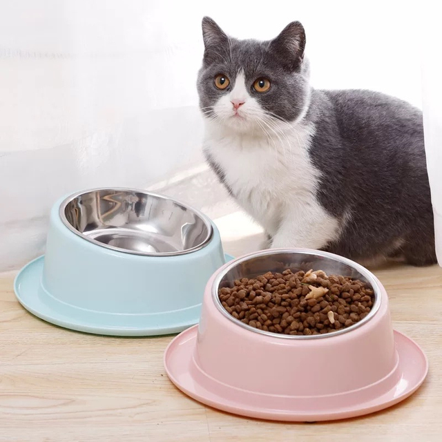 Miska do karmienia zwierząt domowych ze stali nierdzewnej, antypoślizgowa, przechylona 15°, zdrowa dla psów i kotów - Wianko - 7