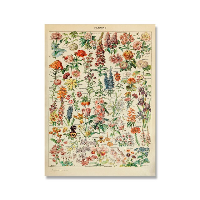 Plakat Kwiaty Retro Wykres na Płótnie - Botaniczna Sztuka Dekoracyjna do Kuchni - Wianko - 6