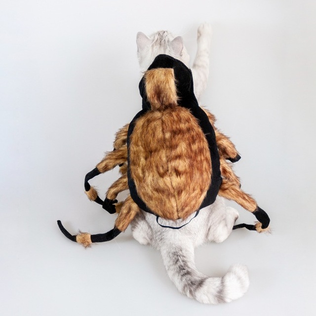 Gorący Halloween: Przekształcany pająk w kostiumie kota - odzież dla kotów - Wianko - 4