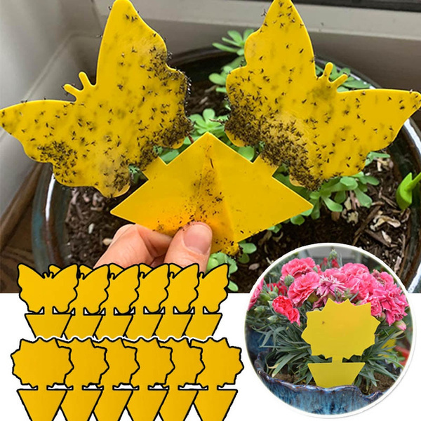 Żółta motyl pułapka na muchy - dwustronna lepka deska do ogrodu i gospodarstwa domowego - Wianko - 1