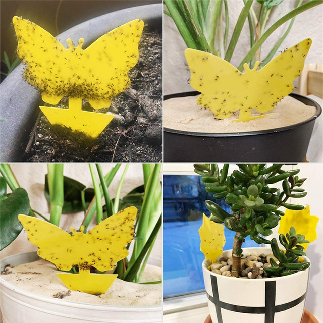 Żółta motyl pułapka na muchy - dwustronna lepka deska do ogrodu i gospodarstwa domowego - Wianko - 2