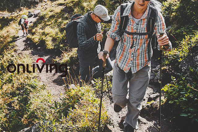 Kijki trekkingowe składane ONLIVING – ultralekkie i profesjonalne, idealne do biegania, podróży i obozowania - Wianko - 1