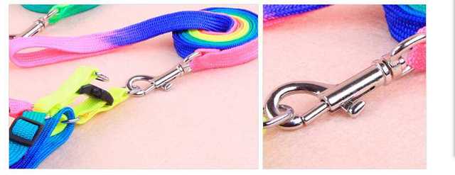 Kolorowa smycz Rainbow moda dla psa i kota - wysoka jakość - Wianko - 10