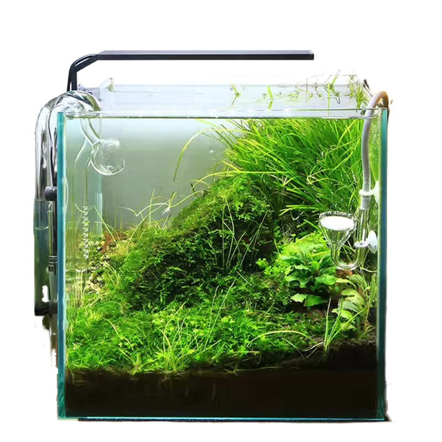Chihiros C seria LED Light Mini Nano - wodoodporna klipowa lampa do akwarium z roślinami w stylu ADA - Wianko - 2