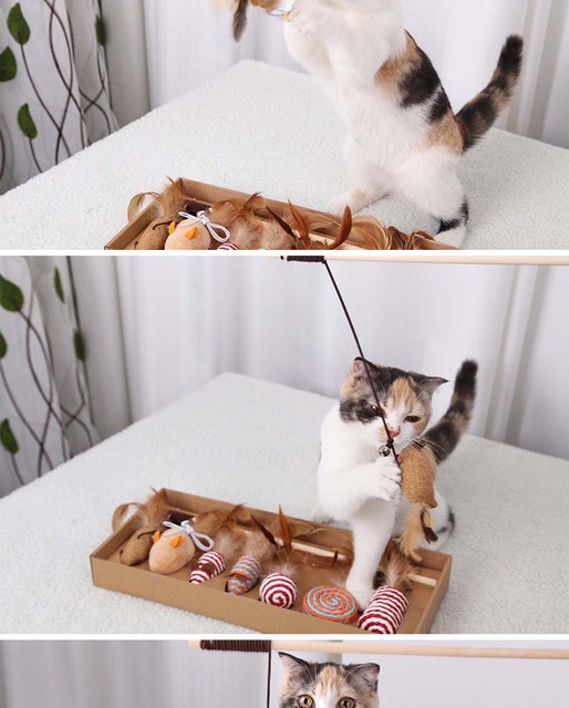 Zestaw 7 sztuk zabawek dla kota: piłka, pióro, kocimiętka, sizal, skrzynka - Wianko - 4