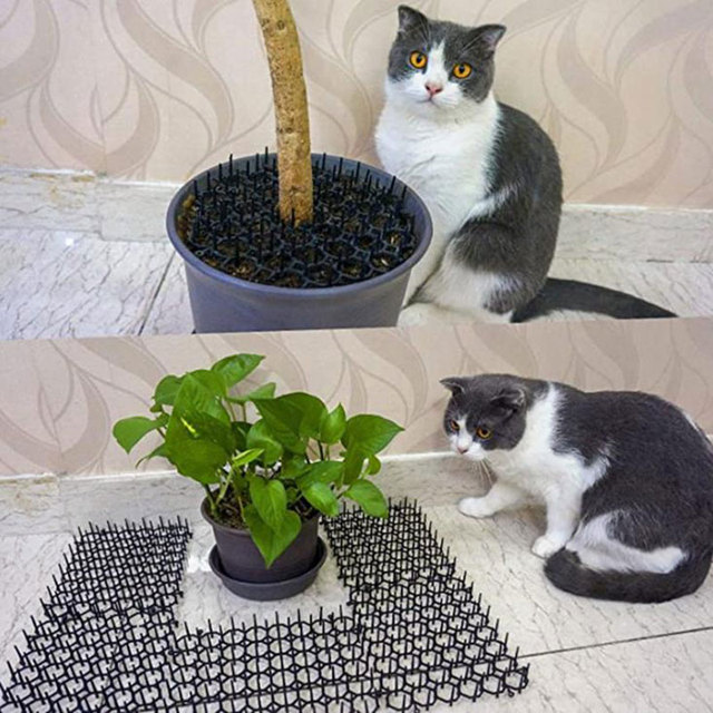 Ogród kolczasty pasek odstraszający koty Dig Stop - mata antykotowa przenośna Spike ogrodowa 13cm X 49cm - Wianko - 8