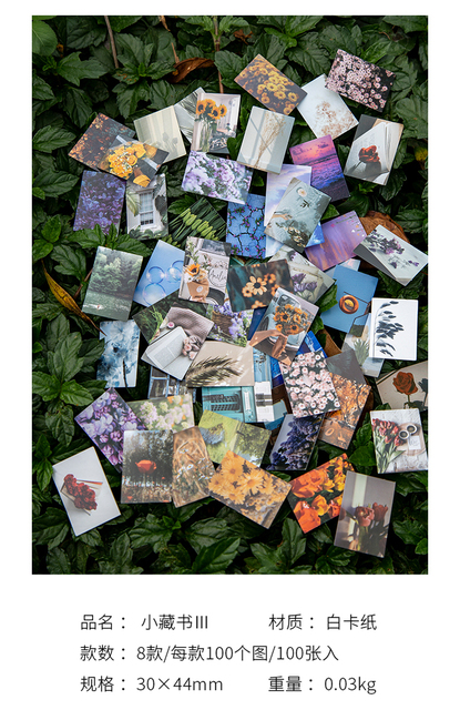 100 sztuk Retro Vintage naklejki z roślinami i kwiatami do scrapbookingu i tworzenia kartek DIY - Wianko - 3