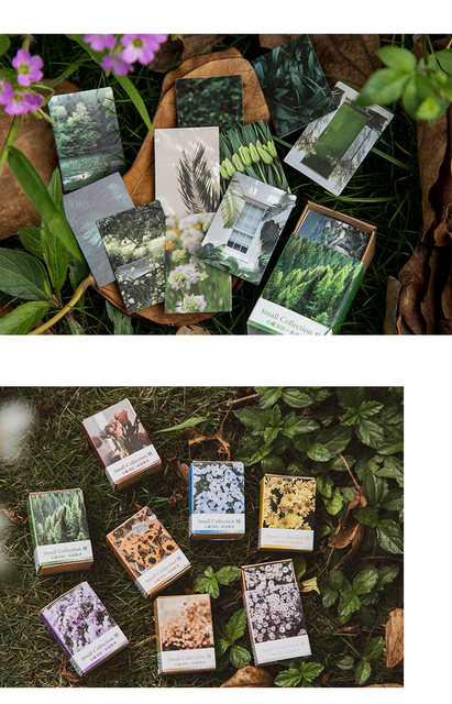 100 sztuk Retro Vintage naklejki z roślinami i kwiatami do scrapbookingu i tworzenia kartek DIY - Wianko - 4