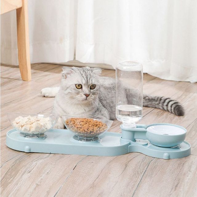Podwójne miski podajnik wody i miska na karmę dla małych psów i kotów - Wianko - 2