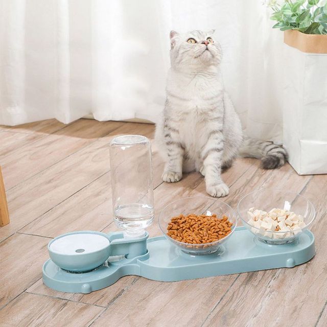 Podwójne miski podajnik wody i miska na karmę dla małych psów i kotów - Wianko - 4
