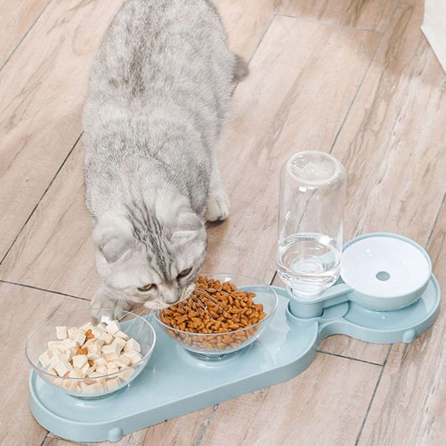 Podwójne miski podajnik wody i miska na karmę dla małych psów i kotów - Wianko - 1