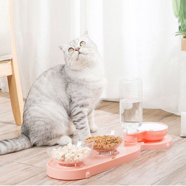 Podwójne miski podajnik wody i miska na karmę dla małych psów i kotów - Wianko - 5