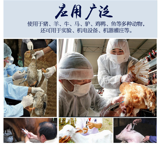 Igły weterynaryjne USA import stal nierdzewna - świnie bydło owce szczepienia strzykawka - Wianko - 4