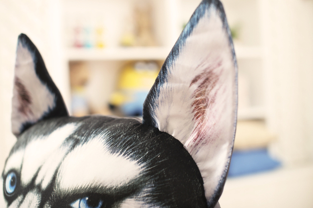 Pluszowy pies Husky 3D Samoyed, 38x35 cm - zabawka/ poduszka dla psa, domu, samochodu, prezent urodzinowy - Wianko - 12